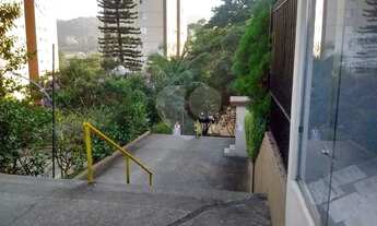 Imagem 3: Pedra Branca junto ao Parque Horto Florestal
