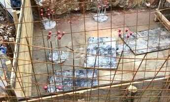 Imagem: São Paulo - Terreno Padrão - Parque da