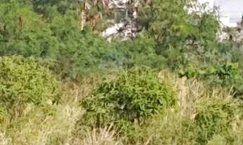 Imagem 2: Terreno para Venda em São Pedro da Aldeia, Porto da Aldeia