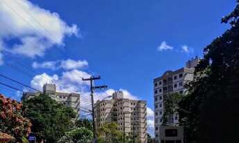 Imagem 6: Alugo apartamento na serraria