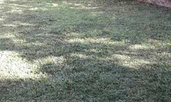 Imagem 3: Linda casa à venda com 3 quartos com terreno espaçoso