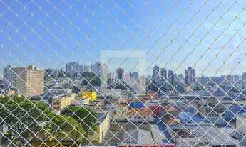 Imagem 7: Apartamento para Aluguel - Nova Petrópolis, 3 Quartos, 63 m2