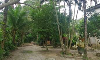 Imagem 4: Vendo Sítio em Itaguaí próximo a cachoeira