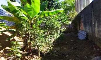 Imagem 4: Casa tipo granja