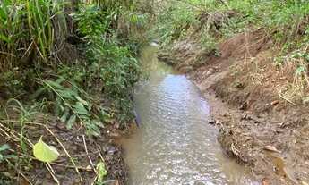 Imagem 2: Chácaras a venda em damolandia ha 50 km de Goiânia !