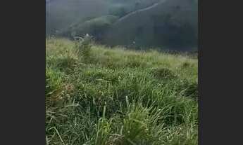 Imagem 3: Terreno com excelente vista