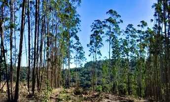 Imagem 6: Construa seu lar dos sonhos! Lote de 600m² disponível para venda