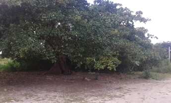 Imagem 4: ? Oportunidade única: Terreno disponível para venda ou aluguel! ?