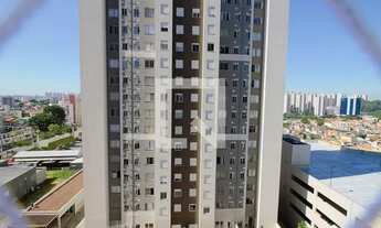 Imagem 4: Apartamento para Aluguel - Parque Monte Alegre, 2 Quartos, 43 m2