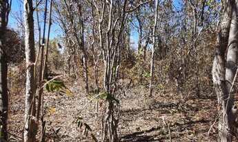 Imagem 7: Chácara em Barrocãozinho 10 km de Montes Claros