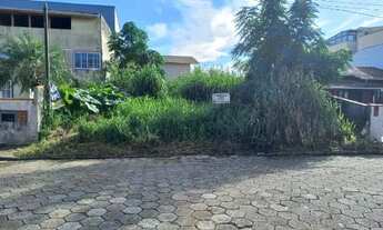 Imagem 2: Lote 300m Praia Enseada