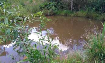 Imagem 4: Sítio em Desterro de Entre Rios MG Casa Centenária 30 mil metros 2 lagoas