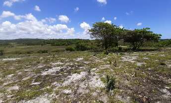 Imagem 4: Terreno para venda - 20.000m2 - Linha Verde - em Porto de Sauipe - Entre Rios - BA