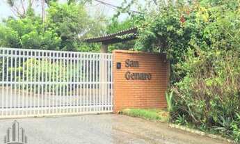 Imagem 6: Brusque - Terreno Padrão - Primeiro de Maio