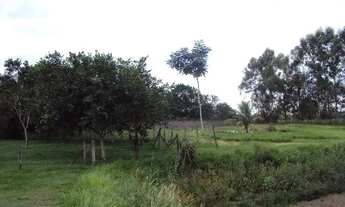 Imagem 6: Sitio Chácara com venda por R$3.500.000