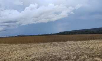 Imagem 2: FAZENDA A VENDA EM ALTA FLORESTA-MT!