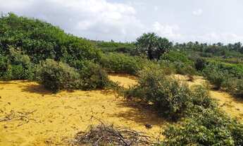 Imagem 3: Lote/Terreno para venda tem 1845 metros quadrados em Centro - Barreirinhas - MA