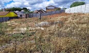 Imagem 4: 03 Terrenos à venda em FAMA - MG - Bairro São Pedro