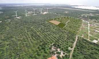 Imagem 3: Loteamento Próximo a praia de Majorlândia - CE