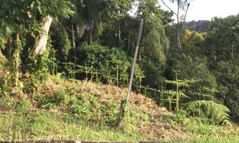 Imagem 4: Brusque - Terreno Padrão - Primeiro de Maio