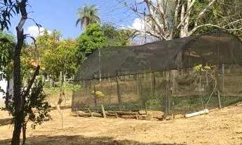 Imagem 6: Fazendinha 13.000m² com piscina, lagoa de peixes, nascente, campo de futebol e muito mais