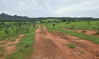Imagem 5: Fazenda de 239 alqueires em Doverlandia-GO