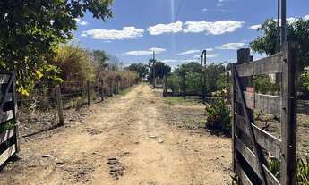 Imagem 7: Urgentemente- Chácara de 5000mts em Hidrolândia 45km do Garavelo
