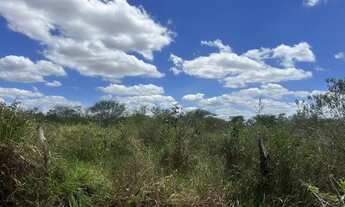 Imagem 4: Tarefas de terra