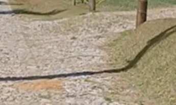 Imagem 4: Vendo terreno em Paraibuna SP 18.700m2