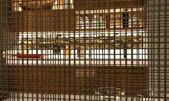 Imagem 4: Apartamento em Rua Doutor Mário Natividade - Taquaral - Campinas/SP