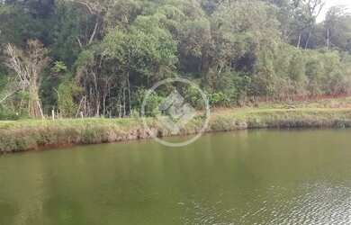 Imagem 11: Chácara a 35km de Cascavel codigo: 127742