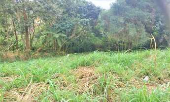 Imagem 3: Área à venda, 1046 m² por R$ 500.000,00 - Granja Clotilde - Cotia/SP