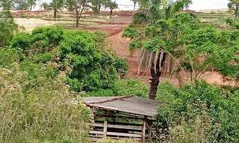 Imagem 6: Vendo excelente área ao lado da BR 153 - Estâncias Vista Alegre