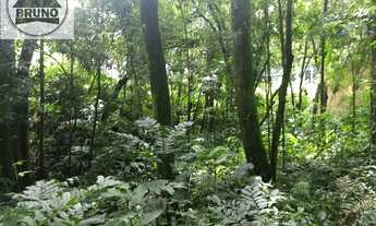 Imagem 4: EXCELENTE ÁREA NO PILARZINHO PROX A RUA NILO PEÇANHA