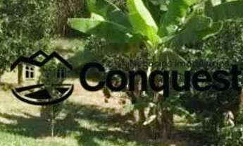 Imagem 3: Fazendinha 15 Hectares - Caetano José - Bonfim - MG