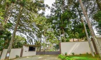 Imagem 2: Vendas Terreno Curitiba PR