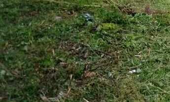 Imagem 3: Terreno Itaporanga ( camaçari mirin