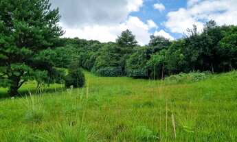 Imagem 4: Terreno Travessao Alfredo Chaves Flores da Cunha