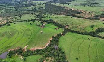 Imagem 2: Fazenda de 239 alqueires em Doverlandia-GO
