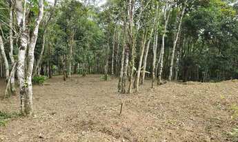 Imagem 4: Chacara em forma agende ja