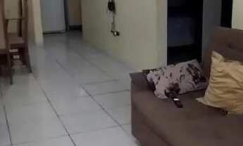 Imagem 5: Temporada no Caribessa Conforto e Segurança