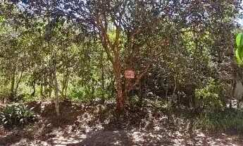 Imagem: LINDO LOTE EM ÁREA NOBRE