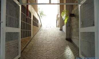 Imagem 5: COMERCIAL - PERDIZES - SP