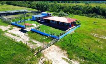 Imagem 3: VENDO FAZENDA EM RIO PRETO DA EVA