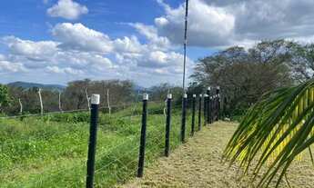 Imagem 3: Excelente sítio de 3 tarefas com casa de 4/4 e arvores frutíferas diversas próxima a BA