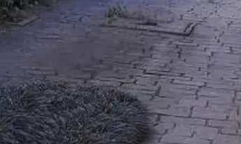 Imagem 5: CASA ASSOBRADADA - SUMARÉ - SP