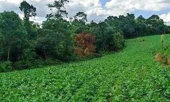 Imagem 7: Chácara/Área - Retiro Grande - Campo Largo - PR