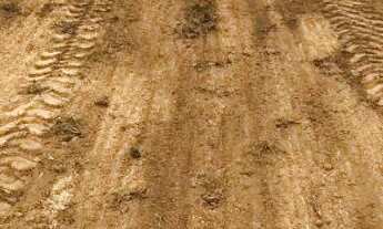 Imagem 6: Fazendinha 20.000m2 em Piedade Gerais