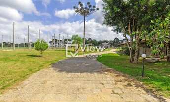 Imagem 3: EXCELENTE CHÁCARA COM CASA MOBILIADA NA COLÔNIA MURICI EM SÃO JOSÉ DOS PINHAIS