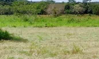 Imagem 3: FAZENDINHA financiada e pronta perto de Sete Lagoas. Entrada de R$25.990,00 mais parcelas